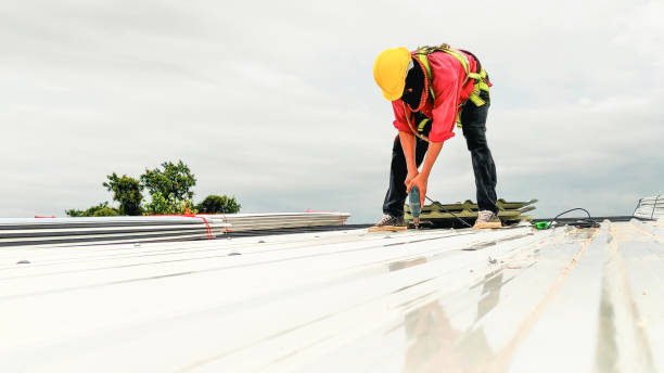 Best Chimney Flashing Repair  in Brent, FL