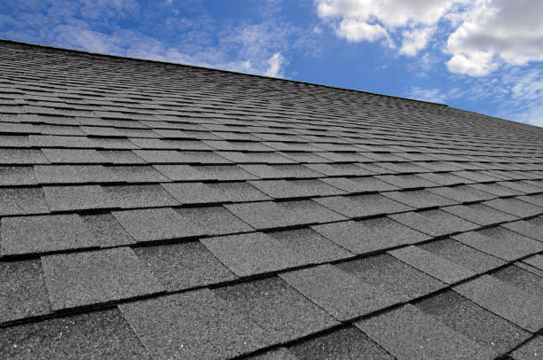 Best Roof Ventilation Installation  in Brent, FL